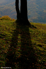 portret, fotografie, blog