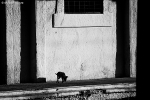 foto, peisaj, Sorin, blog