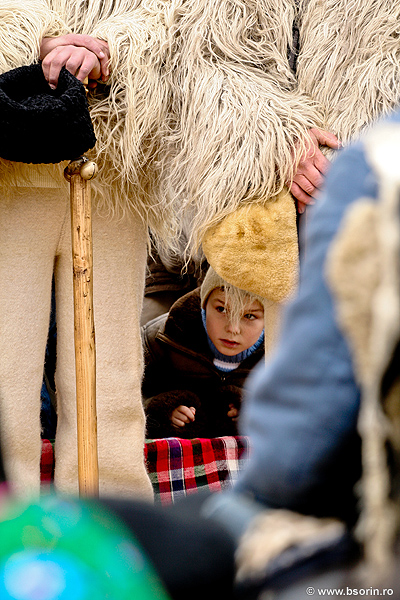 portofoliu, portret